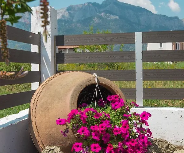 Emotions Lejlighed Skala Potamia (Thasos)